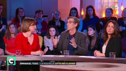 "En France, on ne peut pas parler de démocratie représentative" Emmanuel Todd