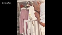 Grandpa plays the harmonica for his granddaughter's pet cockatiel as the bird happily sings along