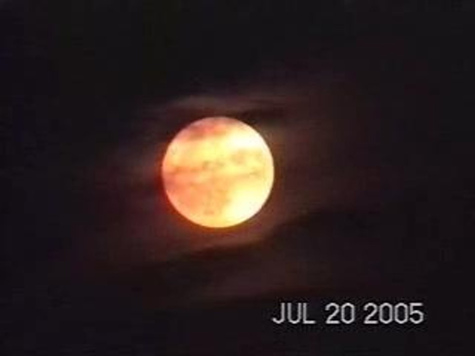 Full Moon with wolf