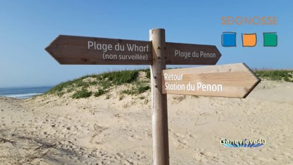 SEIGNOSSE -  03.02.2020