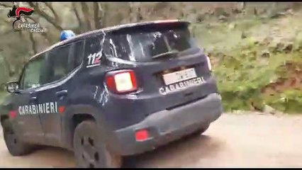 Sardegna - Cacciatori di frodo, arrestato boss del narcotraffico (03.02.20)
