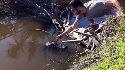 Download Video: Il met des lunettes à un crocodile ! Challenge dangereux