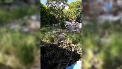 Morador reclama de mato em terreno da antiga Escola Gladis Tibola