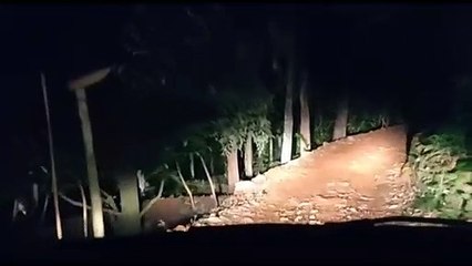 logging camp....somewhere in Malaysia Sarawak-Indonesia border.... waktu tengah malam