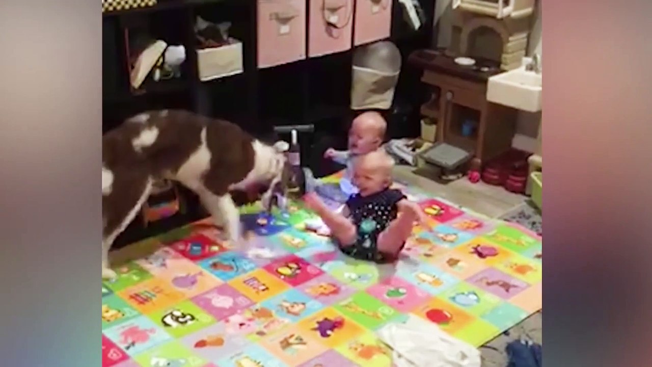 Funniest_Baby_Fails__7_-_Try_Not_To_Laugh_hd