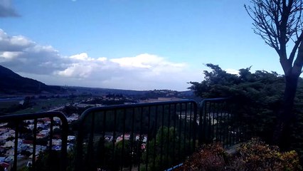 Dozens of Pelicans flying by low over head