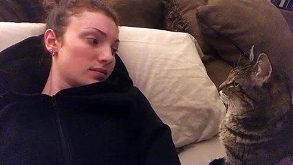 Kitty Gives Adorable Boop