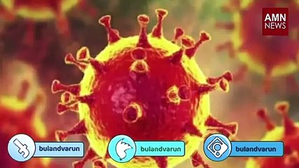 चीन की सेक्स वर्कर्स को कोरोना वायरस के कारण नहीं मिल रहे ग्राहक, अब रेट किए आधे