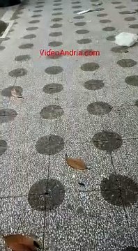 Andria: il forte vento sparge i rifiuti nell'area pedonale