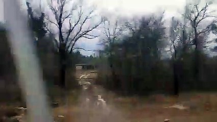 Unique Trees of Georgia