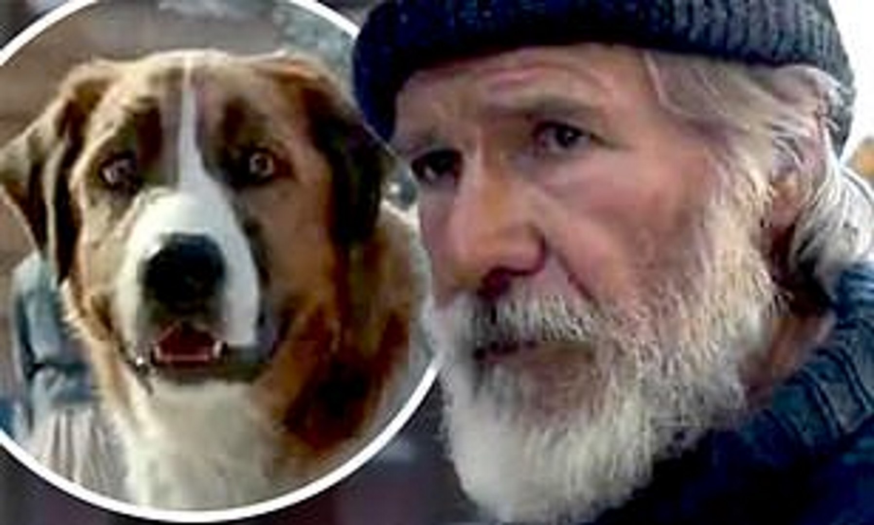 The Call Of The Wild Movie Starring Harrison Ford And A Dog Video Dailymotion