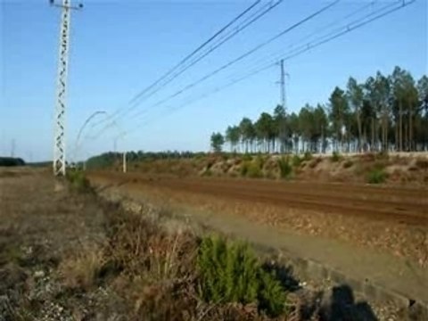 TGV Atlantique à Morcenx