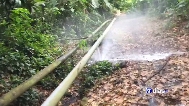 7dias-robo-combustible-costa-rica-030220