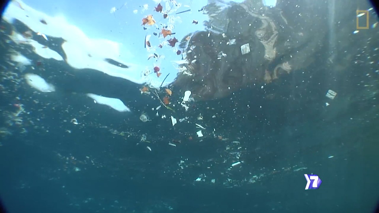 7dias-plastico-oceanos-030220