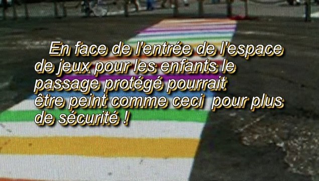 LES W-D.D. MICHOU NEWS - 20 JANVIER 2020 - PAU - À PAU AU PARC LA RÉNOVATION DES PASSAGES PROTÉGÉS ET AU BOULEVARD CEUX QUI SONT FANTOMES