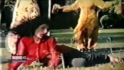 meera-sajana meri bahoon main chale aao