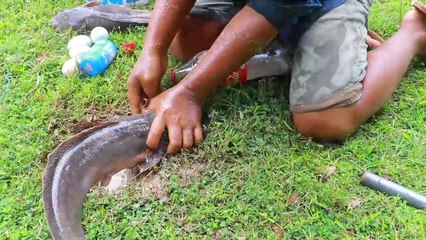 Tecnología asombrosa: pesca de gran tamaño con Coca Cola | Mentos | huevos | atrapa pez grande en el agujero