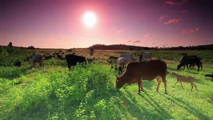 If You’re Worried About the New Coronavirus, Here’s How to Protect Yourself