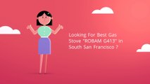 ROBAM USA Kitchen Appliances : ROBAM G413