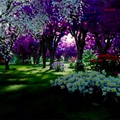 Luciérnagas, al borde de la extinción