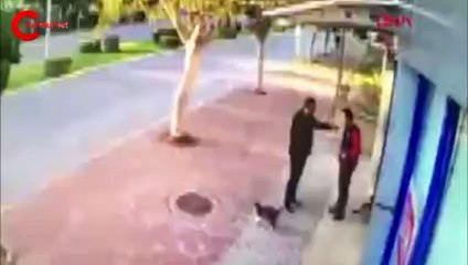 Antalya'da kan donduran görüntüler!