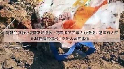 CollectionVideo-adgeek_teepr_curation-www.teepr.com-copy2-TeeprParser-2020/02/04-10:31