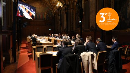 [3 minutes pour comprendre] Prévention de la délinquance et de la radicalisation : audition du secrétaire général du Comité interministériel