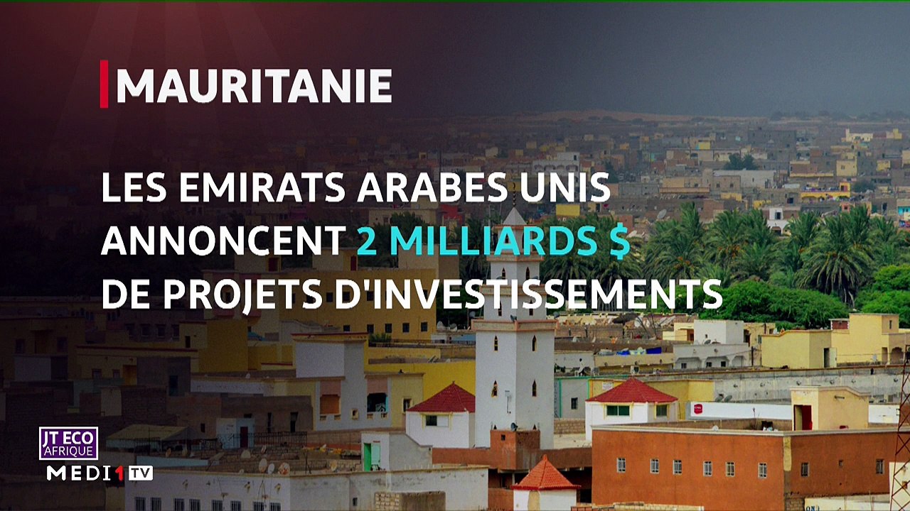 JT Eco Afrique - 04/02/2020