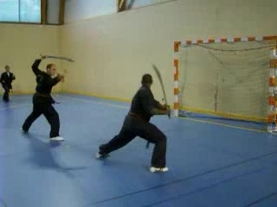 Viet Vo Dao VS kung fu wu shu Démo repetition en salle