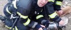 Roumanie : Des pompiers sauvent deux chiens et un chat !