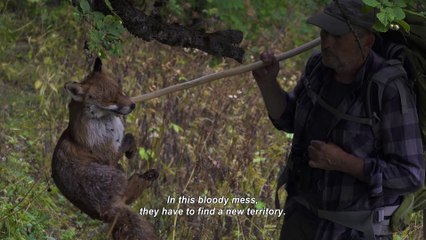 Wolf Walk / Marche avec les loups (2020) - Trailer (English Subs)