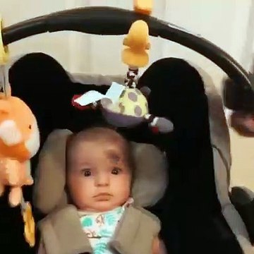 Un pitbull qui fait peur à un bébé ! Mignon