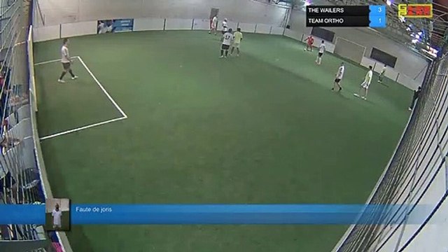 Faute de joris - THE WAILERS Vs TEAM ORTHO - 03/02/20 20:00 - LIGUE 1 - Poitiers Game Parc