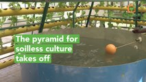 Burkina Faso: The pyramid for soilless culture takes off