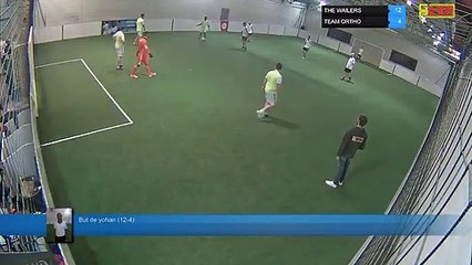 But de yohan (12-4) - THE WAILERS Vs TEAM ORTHO - 03/02/20 20:00 - LIGUE 1 - Poitiers Game Parc
