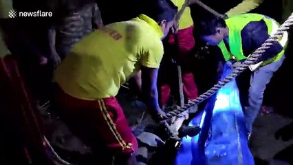 Firefighters free trapped cow from well in east India