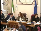 Roma - ​Semestre di presidenza croata del Consiglio Ue, audizione ambasciatore Mesić (04.02.20)