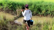 How To Catches Fish in Cambodia Traditional Fishing (part 3)