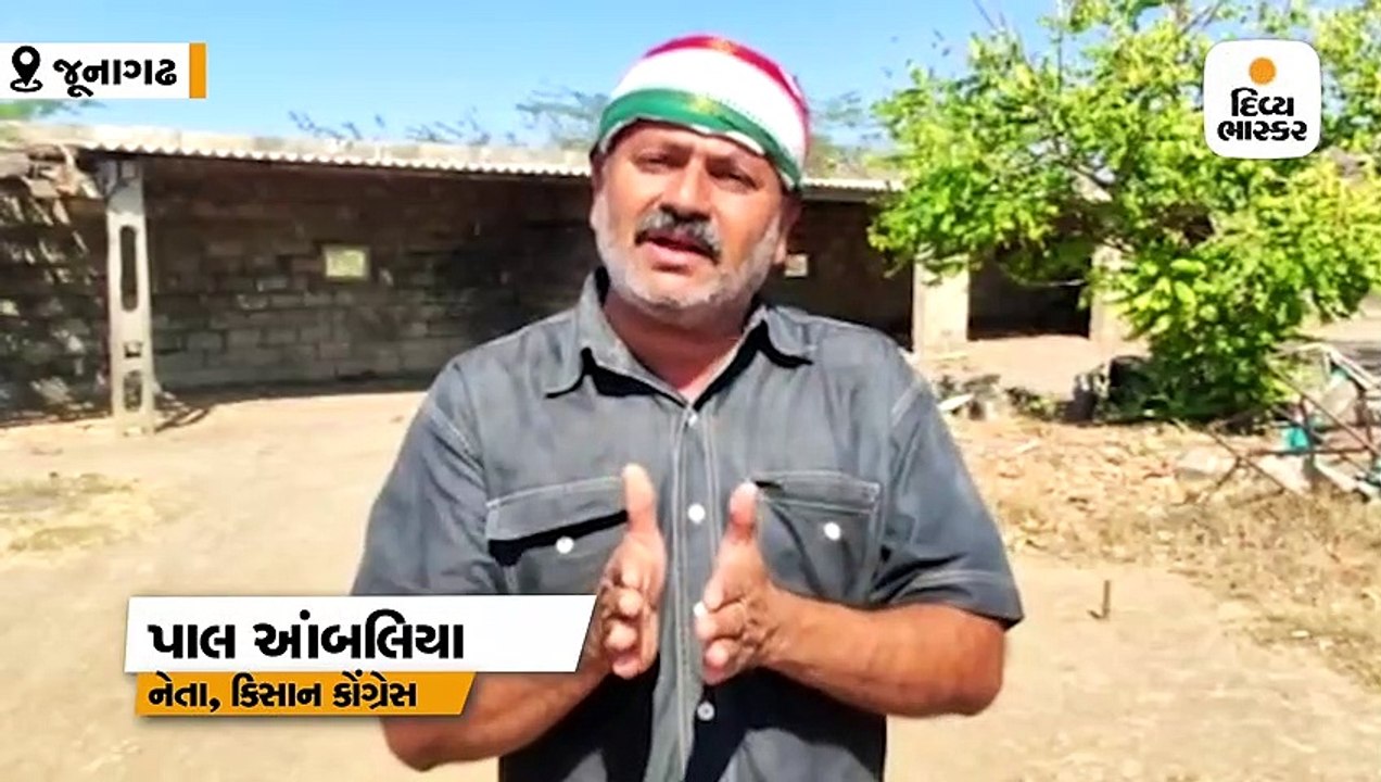 જૂનાગઢમાં શંકાસ્પદ 2100 ગુણી મગફળીનો જથ્થો સગેવગે, જથ્થો જેતપુરના રબારીકાના વેરહાઉસમાં મોકલી દેવામાં આવ્યો