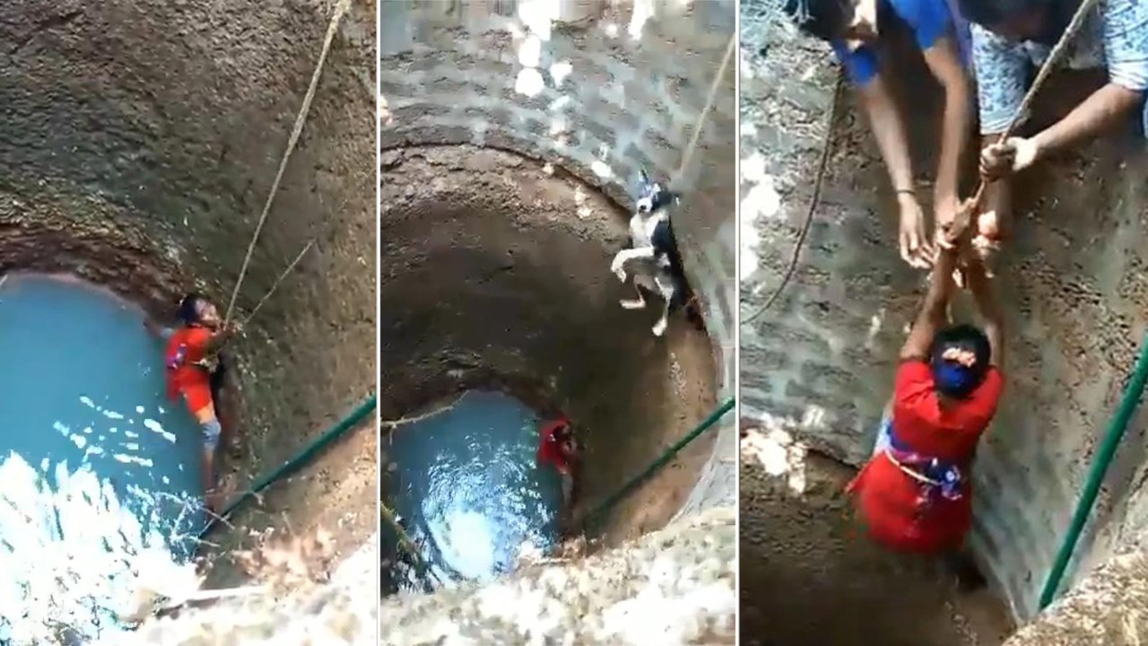 Viral video : Woman Risks Her Life To Save Dog From Well In Mangalore