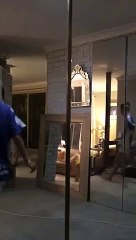 Pole dance : elle détruit son salon !