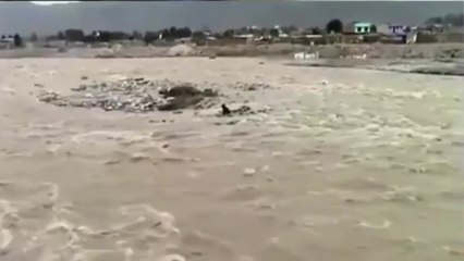 Cảm động rơi nước mắt tình huống cứu động vật của con người