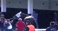 İzmir'de yarış atına şiddet canlı yayına yansıdı! TJK'dan kınama geldi