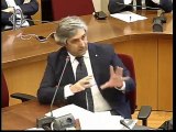 Roma - Audizioni su settore ittico e settore pesca professionale (04.02.20)