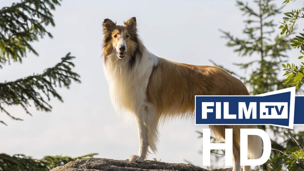Lassie: Eine Abenteurliche Reise Trailer Deutsch German (2020)