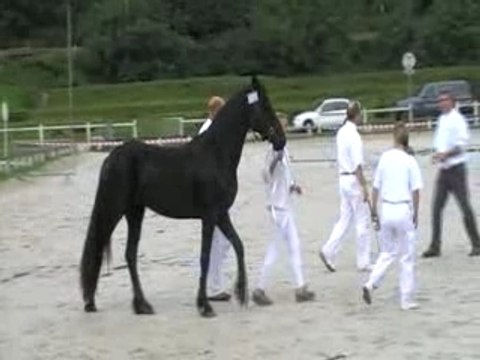 Concours aix les bains chency8