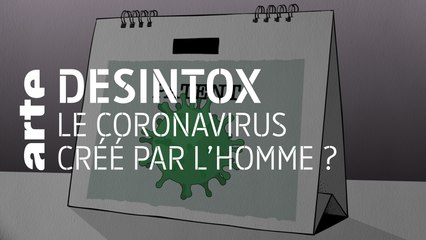 Le coronavirus créé par l’homme ? | 04/02/2020 | Désintox | ARTE