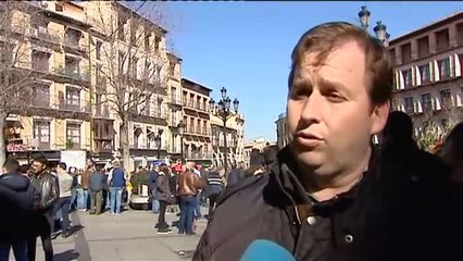 Miles de agricultores se manifiestan en Toledo por el futuro del campo