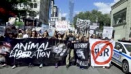 California Bans Animal Fur Products