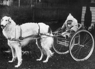 The Most Popular Baby Names 100 Years Ago